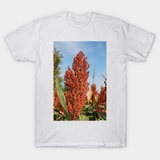 Bright Grain Crop closeup T-Shirt